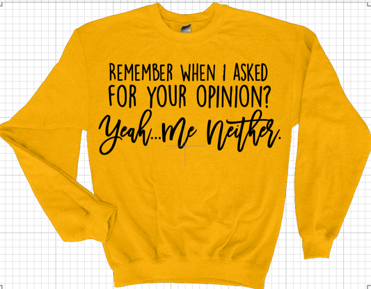 Remember When I Asked for Your Opinion