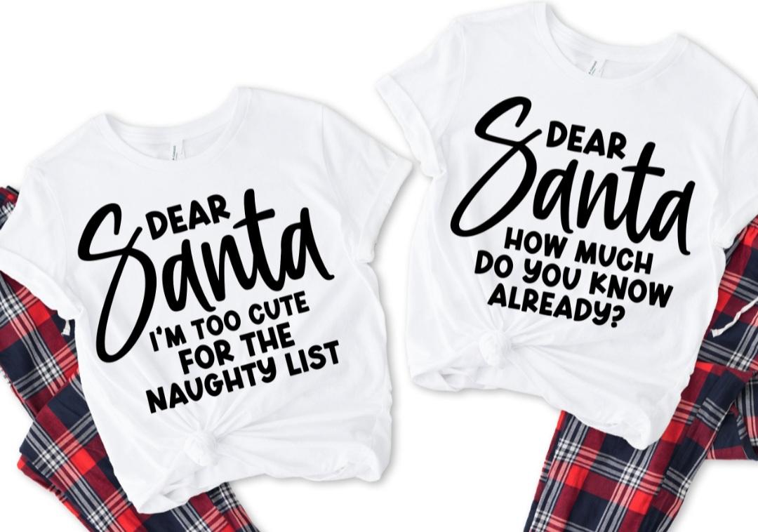 Dear Santa...Group 5 SHIRT ONLY