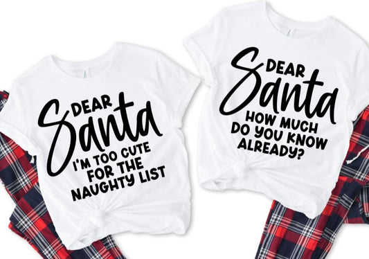 Dear Santa...Group 5 SHIRT ONLY
