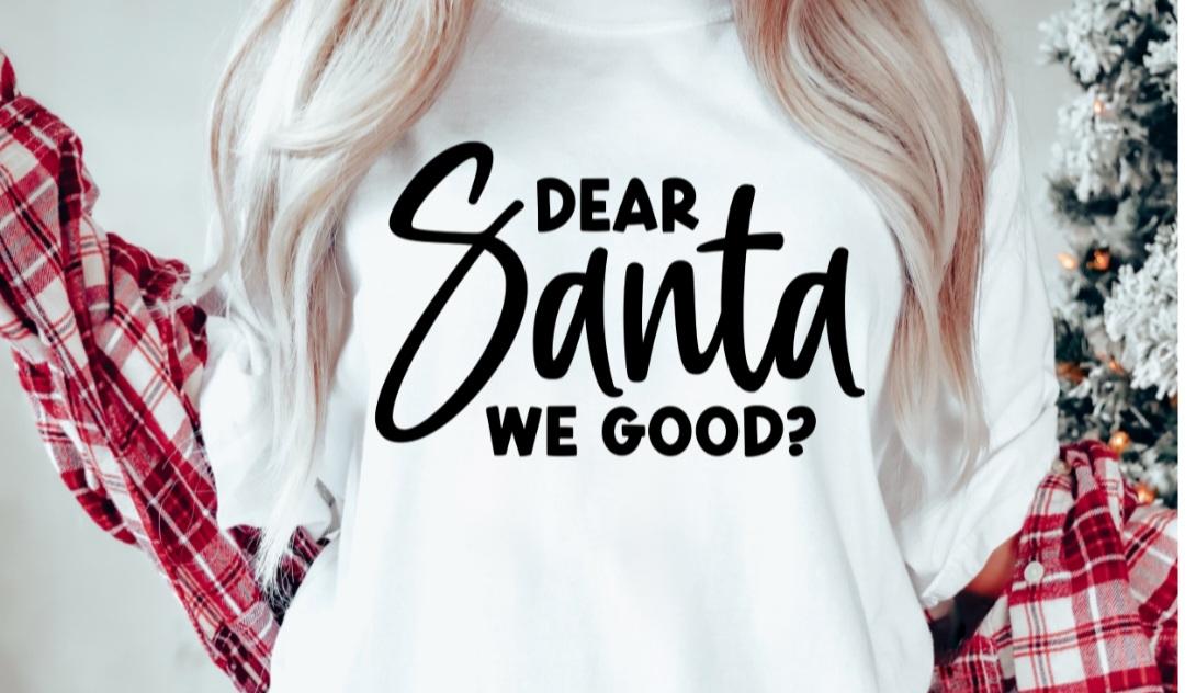 Dear Santa...We Good? SHIRT ONLY